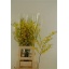 product/img.ozexport.nl/961-70-LIVE_fotos-0xC0963B7530AA10A4F9F685E0A5548C8204B87703.jpg
