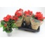 product/img.ozexport.nl/BEGBAL13-LIVE_fotos-0xACD5E17DA9EC6FC4F4285AF5E0DF615BBA29D0B6.jpg