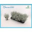 product/img.ozexport.nl/CALO12-LIVE_fotos-0x3771ECF5511139BC806BBB6CA2B62BDA42CA489A.jpg