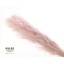 product/img.ozexport.nl/DRYBCORDLP120-0x6CBD57D55F0E83E3C682A6A32581FBF882A3FAC8.jpg