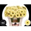 product/img.ozexport.nl/GERMSTE-LIVE_fotos-0xB5FF51B4D153E092025825F1861811A1C05A32E0.jpg
