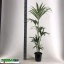 product/img.ozexport.nl/HOW21-LIVE_fotos-0xBF8FE5ACEB0D2757DAE3EAE798F6901610BF8AEF.jpg