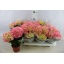 product/img.ozexport.nl/HYDR10-LIVE_fotos-0x9C2FC85ECE7F3B96707C09DF3DA9D357C17C6C50.jpg