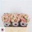 product/img.ozexport.nl/KRBABF5-LIVE_fotos-0xAABBD11C8376C23EE66A9D9E7E1D8D9E96F0B6B0.jpg