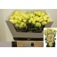product/img.ozexport.nl/KRBAN6-LIVE_fotos-0xFD935914221E50BB89914849C8B8E4D9F0951BD9.jpg