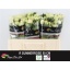 product/img.ozexport.nl/KRSUM5-LIVE_fotos-0xBAC3A72BD95FAA54BB6CBA8CB2D9D5CBD219AC06.jpg