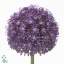 product/img.ozexport.nl/LALLAMB9-ART_fotos-VBN20000-vbn25778.jpg