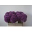 product/img.ozexport.nl/LALLPINW75-LIVE_fotos-0xEF3BA3A9D657030148AA8D87F185D7BC1BAE3AED.jpg