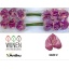 product/img.ozexport.nl/LANTKAL12-LIVE_fotos-0xE573B9BB1B42B9BB5A1AF04B2AA0669DB686C875.jpg