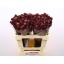 product/img.ozexport.nl/LASTROP5-LIVE_fotos-0x72BA9B04704C739D094B774EA909C54F994F7E0D.jpg