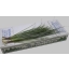 product/img.ozexport.nl/LBEAR-ASSORTI_fotos-gcon-GCON Blad beargrass.JPG