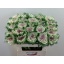 product/img.ozexport.nl/LBRACRAK7-LIVE_fotos-0x9550705FD66CDA79F1B931E0368A5C8BA8B95796.jpg