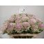 product/img.ozexport.nl/LBRACRAK7-LIVE_fotos-0xD2364D65FC48A3606DEEB7AA47533FBB6055C956.jpg