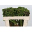 product/img.ozexport.nl/LBRUALB5-LIVE_fotos-0xC181C8A91D23F9C4B0D813A01A7808443F6E7FA1.jpg