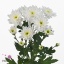 product/img.ozexport.nl/LCHRB7-ART_fotos-VBN100000-vbn109150.jpg