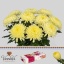 product/img.ozexport.nl/LCHRGAGL-LIVE_fotos-0xABB7B2602B3D17A1B6EBE2B47596B737A2521D73.jpg