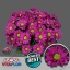 product/img.ozexport.nl/LCHRMEM-LIVE_fotos-0x21A2EB781DDD48F67513CB95119803C1247E228A.jpg
