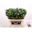 product/img.ozexport.nl/LCLESTAR7-LIVE_fotos-0xE392659806D76EF1410CC8508955AC438F9E6CE4.jpg