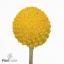 product/img.ozexport.nl/LCRA7-ART_fotos-VBN1-vbn6231.jpg