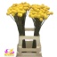 product/img.ozexport.nl/LCRA7-LIVE_fotos-0x2731DDBECF5F2A2B1D55F84FED30C8D8D85ADF55.jpg