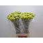 product/img.ozexport.nl/LCRA7-LIVE_fotos-0x4CF4C7AE3D211E9EE6488FF456A84B384C4EFDA8.jpg
