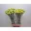 product/img.ozexport.nl/LCRA7-LIVE_fotos-0xDA46AE511E38E5A86FCC4C7DB31FA6455261CD4E.jpg
