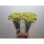 product/img.ozexport.nl/LCRA7-LIVE_fotos-0xDDC8ECB8C11BDAE6664814057D85B7B553593639.jpg