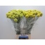 product/img.ozexport.nl/LCRA7-LIVE_fotos-0xFC739A0C866389397512CB04823089FD8C6DD269.jpg