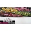 product/img.ozexport.nl/LCYM10-LIVE_fotos-0xEA94E8A5D14BC9B6DAA82517510DAD5F566FDEA6.jpg