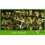 product/img.ozexport.nl/LCYM6BON-LIVE_fotos-0xAD207DA9D4FD8B497DA66B1CD487556A1432CCD2.jpg