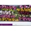 product/img.ozexport.nl/LCYMMIN6-LIVE_fotos-0x0CEEF728C6B2BA8A1CC15A9A03FCCE3DF4FF0CD0.jpg
