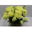 product/img.ozexport.nl/LDAH5CHA-LIVE_fotos-0x4EA2CAF720366237BE2FE3F0FCD02117677D8A82.jpg