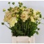 product/img.ozexport.nl/LDAH5CHA-LIVE_fotos-0xB150F4CCEB0A68FA240B6DB7E3F8B0E5DB433416.jpg