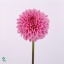 product/img.ozexport.nl/LDAHSAN5-ART_fotos-VBN10000-vbn13555.jpg
