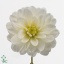 product/img.ozexport.nl/LDAHWHIO6-ART_fotos-VBN20000-VBN28675.JPG