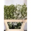 product/img.ozexport.nl/LDELCEN80-LIVE_fotos-0xAE43282715996F9577CD459895F5EF1A8420E0B0.jpg