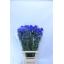 product/img.ozexport.nl/LDELENEB8-LIVE_fotos-0x86744FF9A1111A60277E84C2B36BACD4F8E2711E.jpg