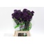 product/img.ozexport.nl/LDIAART-LIVE_fotos-0x1F4B023A4C39C9C092A4CE3FDE65CDD47389C74C.jpg