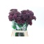 product/img.ozexport.nl/LDIAART-LIVE_fotos-0xE2703E856F440C40D03AD22E05BEC4806EE8C6DB.jpg