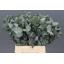 product/img.ozexport.nl/LEUCCIN4-LIVE_fotos-0xA4E12EB4BBE0C92321A2A9D02080DDBA00708CA1.jpg