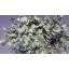 product/img.ozexport.nl/LEUCCIN65-LIVE_fotos-0xC63E7B5288F435D1D1D6C8F5F8865682F5C4DD19.jpg