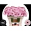 product/img.ozexport.nl/LGERMBROC-LIVE_fotos-0xE4CAABA96E266F698B7F8648AD9E6E4019222E4A.jpg
