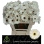 product/img.ozexport.nl/LGERMHUS-LIVE_fotos-0xCFF0BCAB05894F5D72980C99B369A358D17BC345.jpg