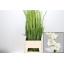 product/img.ozexport.nl/LGLAAMS-LIVE_fotos-0x85CBDEB1063220F0E2A2471FDA7A7BA53ECE479E.jpg