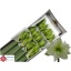 product/img.ozexport.nl/LHIPAVAL-LIVE_fotos-0xDB84DF6340013BA4E9048E5BCDBB434B5F1D8F09.jpg
