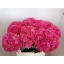 product/img.ozexport.nl/LHORGLOALP7-LIVE_fotos-0xE9980E7CD61EDA6DA51D23CCBE37D456ACCD09D2.jpg