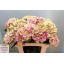 product/img.ozexport.nl/LHORMAGAM6-LIVE_fotos-0xB0E22B8C465F1A2E56CA0C72E150E89F53EB0B2A.jpg
