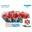 product/img.ozexport.nl/LHYPCOCR5-LIVE_fotos-0xA90FEAB86AB209661F8FDA4547FE92F091D11D4C.jpg
