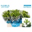 product/img.ozexport.nl/LHYPROH4-LIVE_fotos-0xE368B1B808F42C6AB2A78A7034BC5DC8ED2EF0D0.jpg