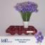 product/img.ozexport.nl/LLATHMID-LIVE_fotos-0xE441AA1929118EA0312F9BE6A339ED9634B67639.jpg